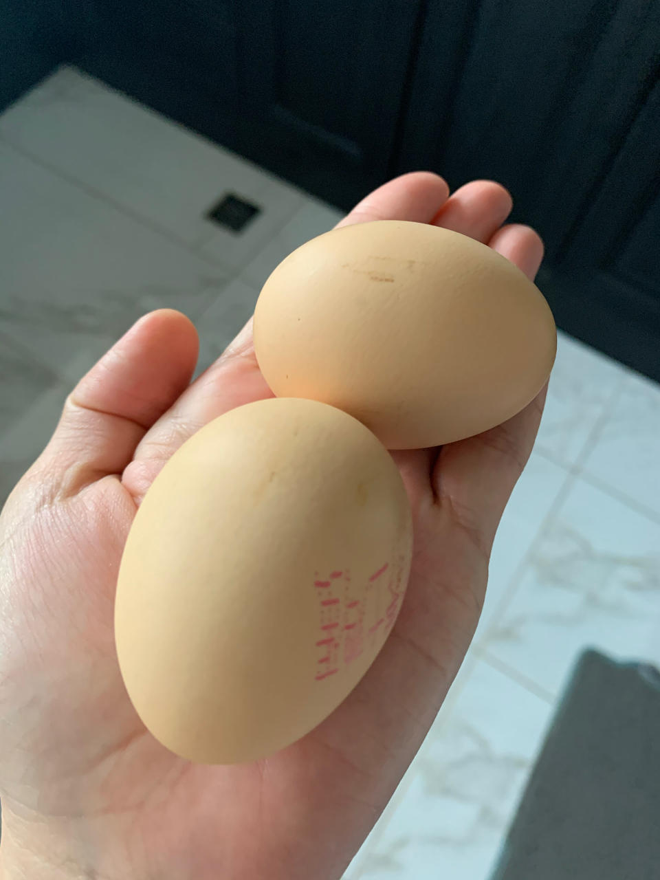 苦瓜酿肉【8月北鼎蒸炖锅食谱】