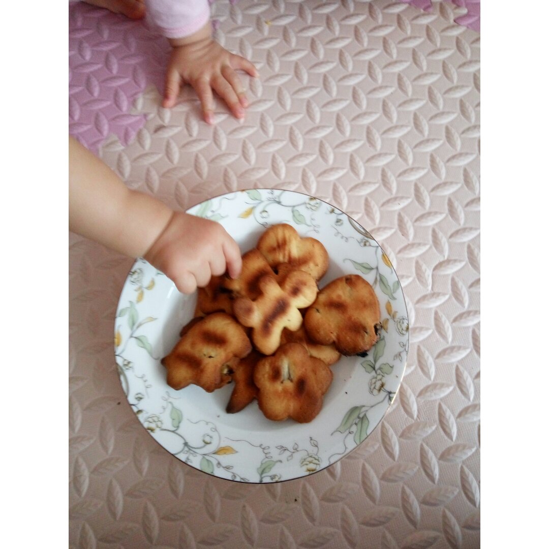 蔓越莓饼干 蔓越莓曲奇