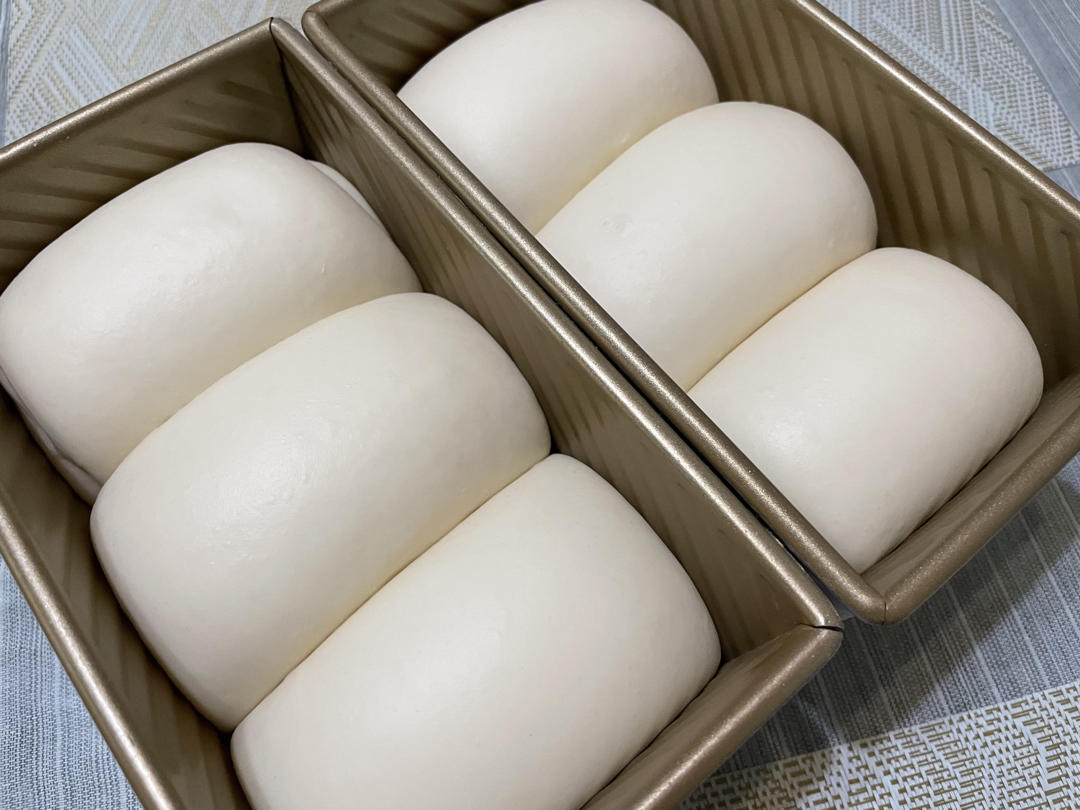 轻食吐司