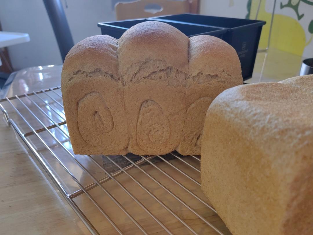 第三天依然柔软的粗全麦吐司