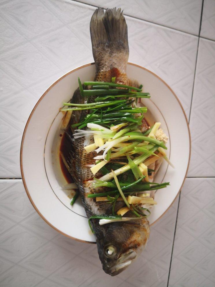 清蒸鲈鱼
