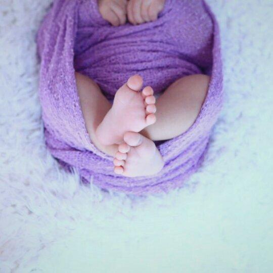 露露家的猴宝宝