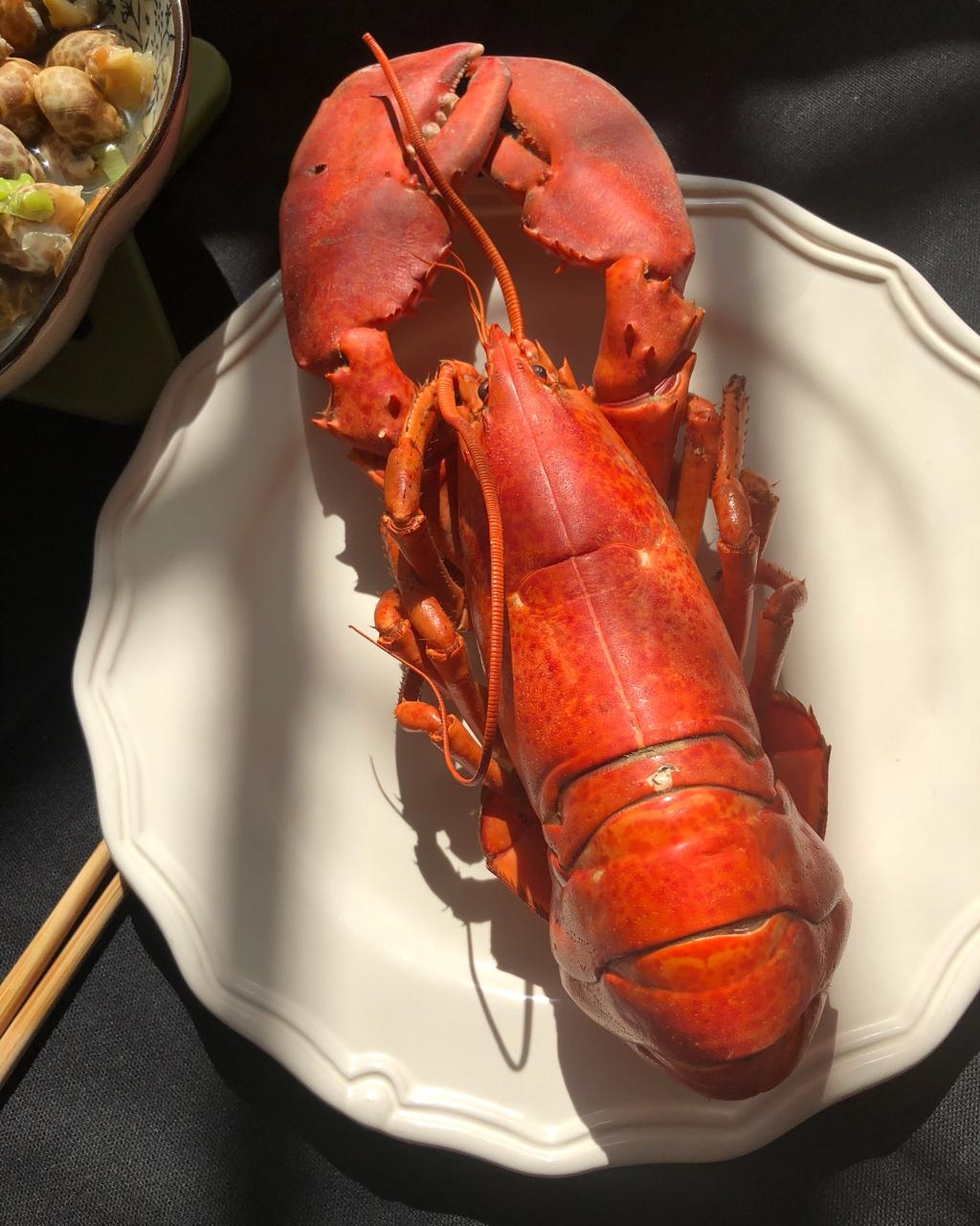 appleandkitty做的清蒸波士顿龙虾