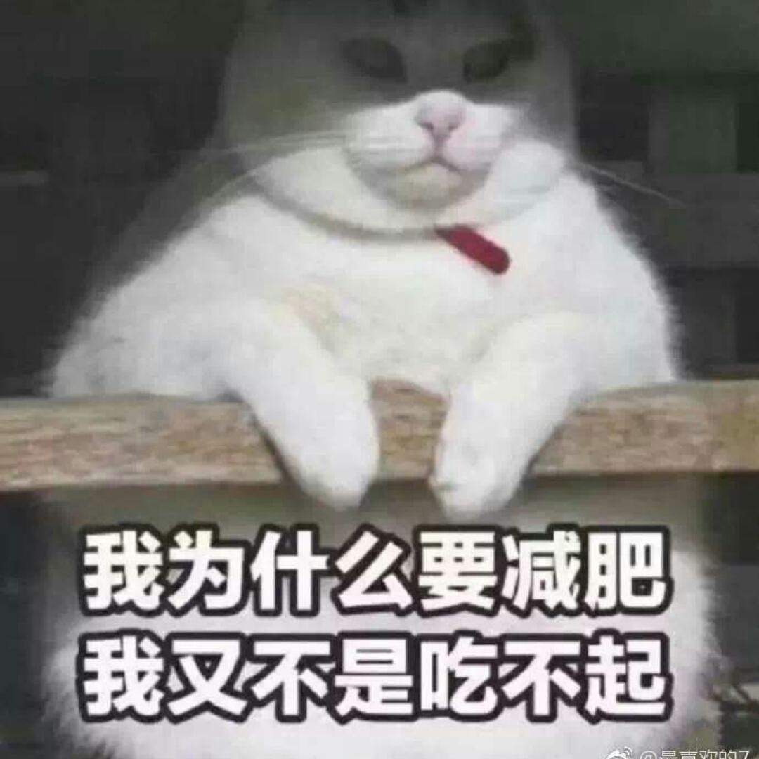 ZNzzz