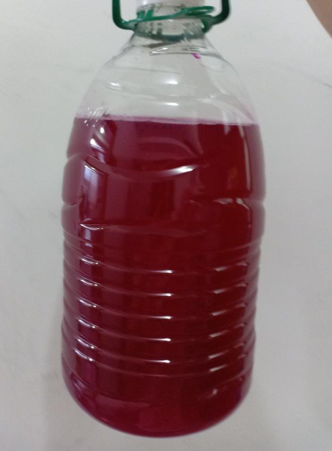 美容养颜瘦身酵素（自制）