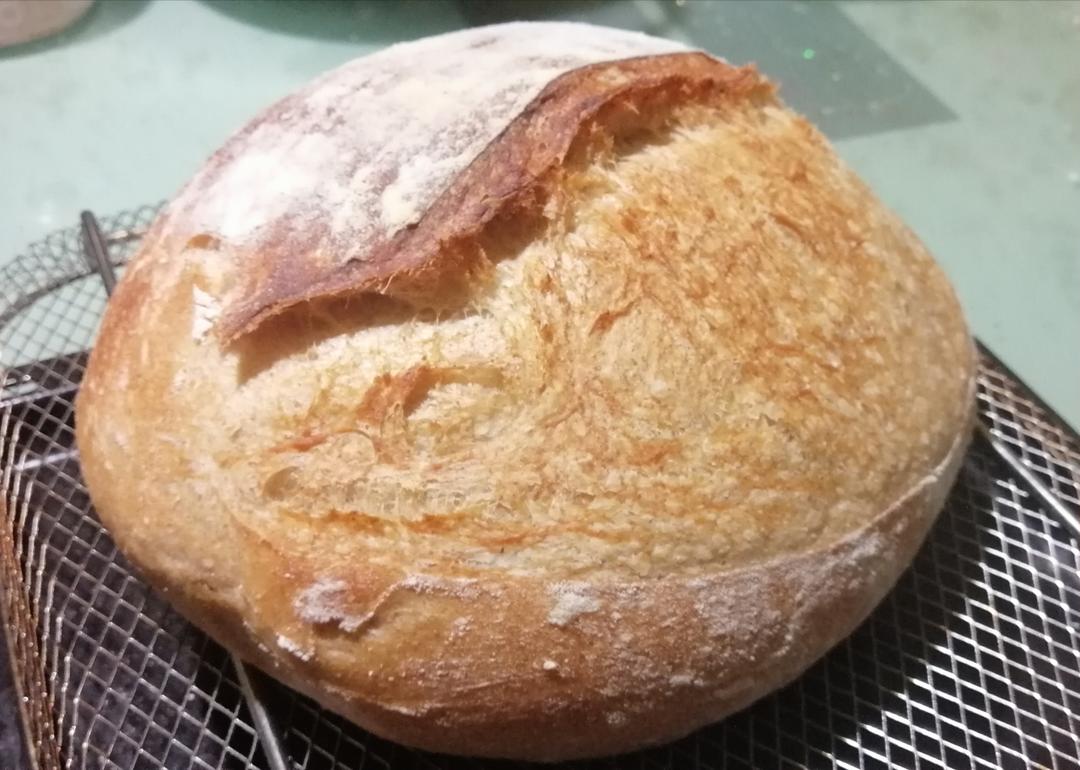 波兰种欧包丨干酵母进阶版