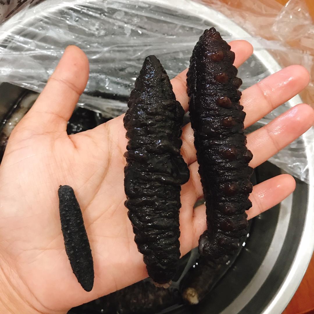 海参泡发攻略