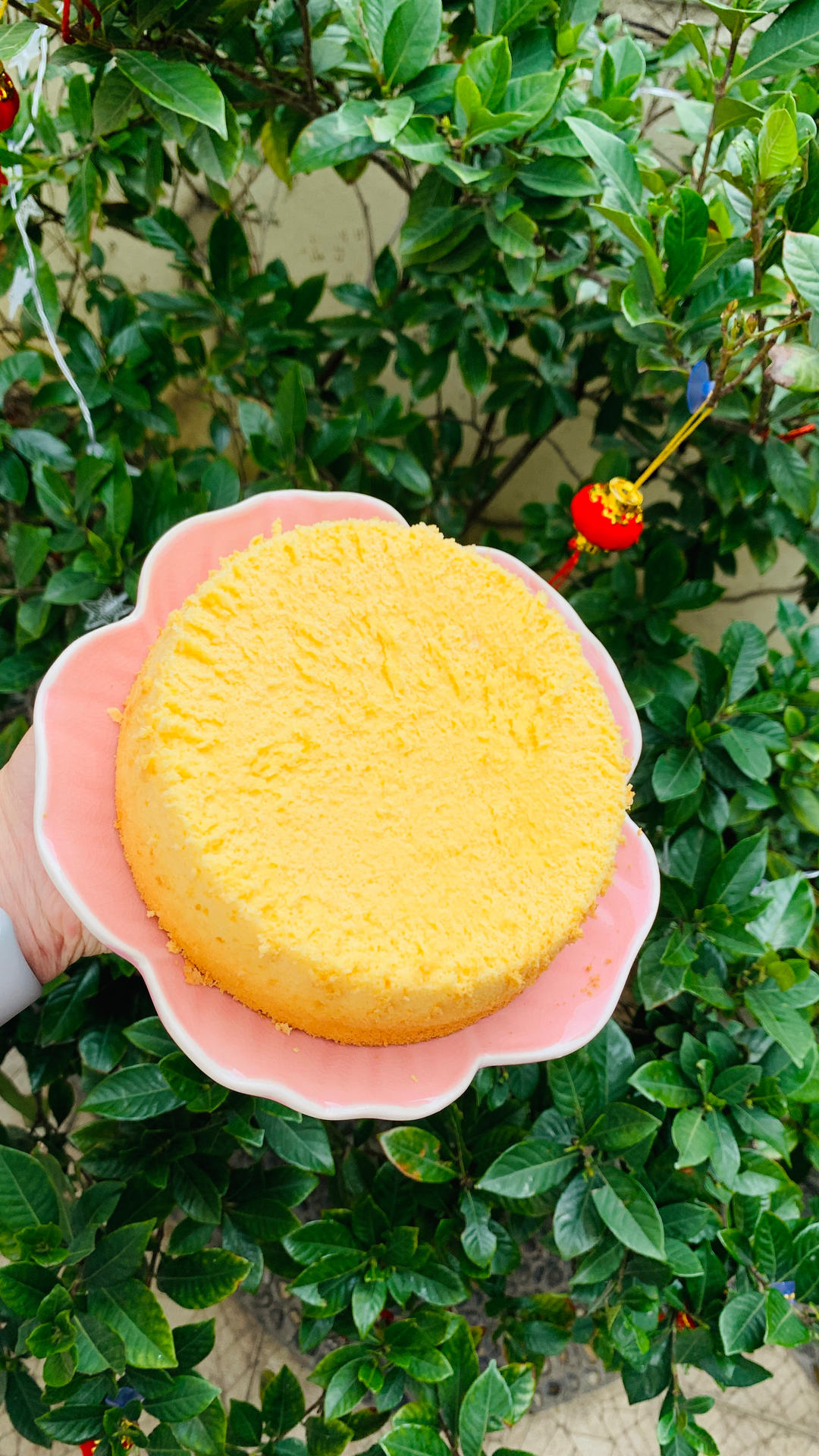 轻乳酪芝士蛋糕6寸#皮黑森林#