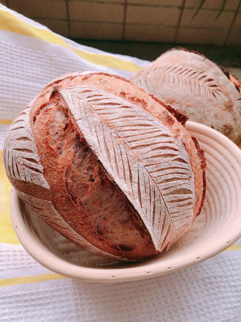 欧包割包视频教程-雨林