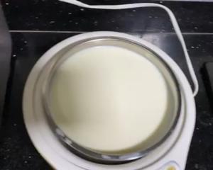 自制酸奶（酸奶机版本）的做法 步骤6