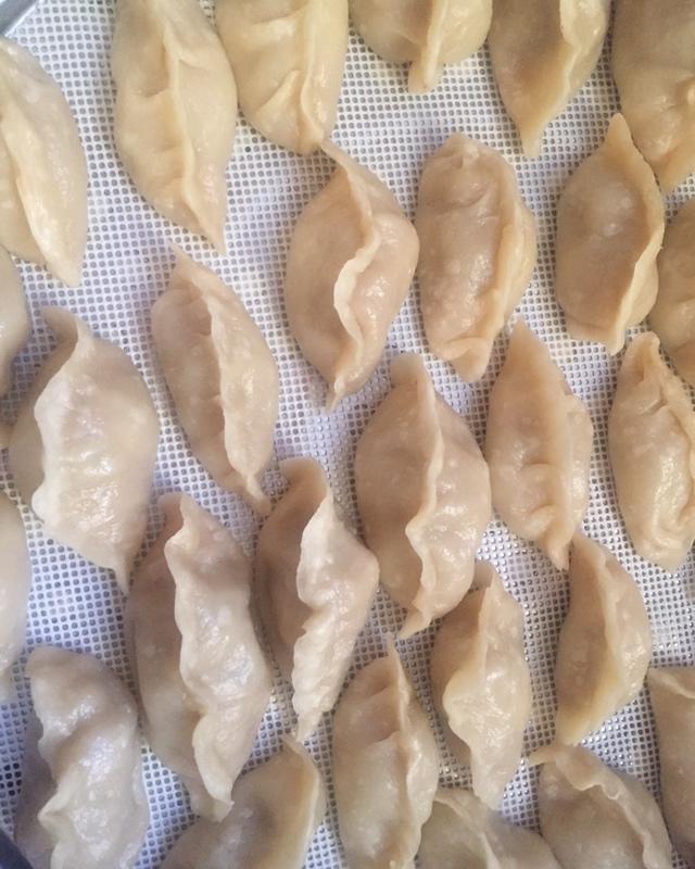 半烫面饺子皮（锅贴、蒸饺、烧卖、剩了还可以烙饼）