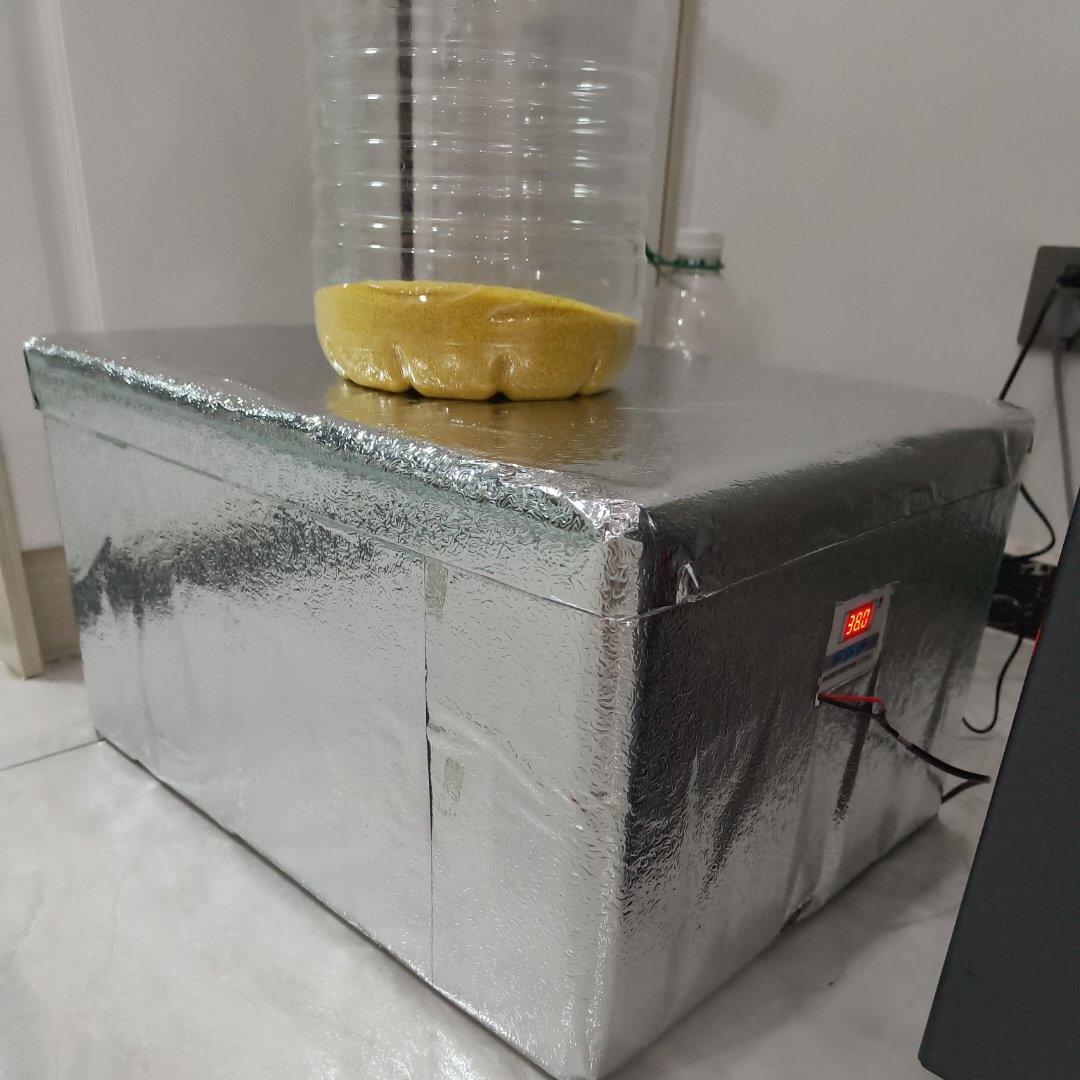 自制发酵箱
