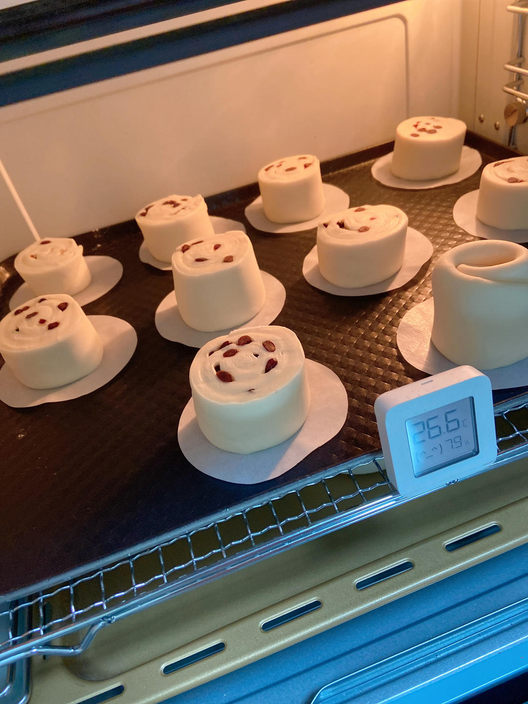 甜甜软软🍥牛奶蜜豆馒头卷