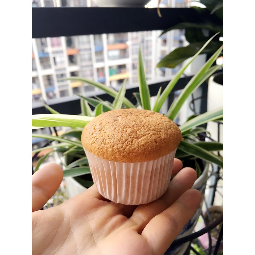 朴素纸杯蛋糕