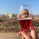 爱做饭的乐小姐