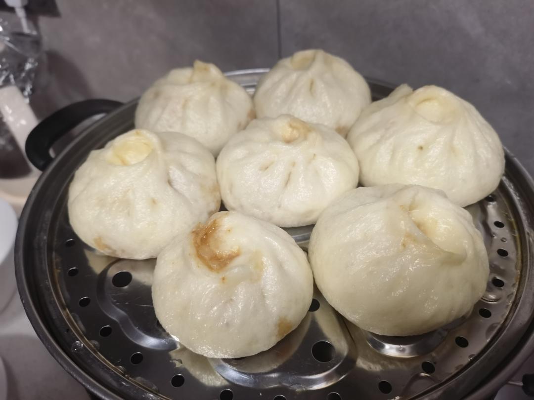 一次发酵肉包子