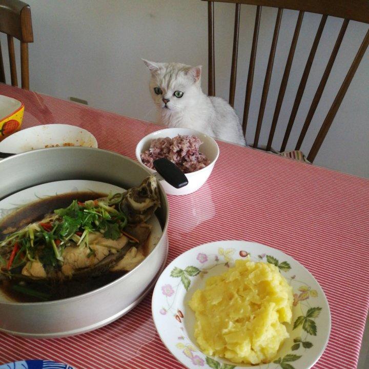 清蒸偏口鱼