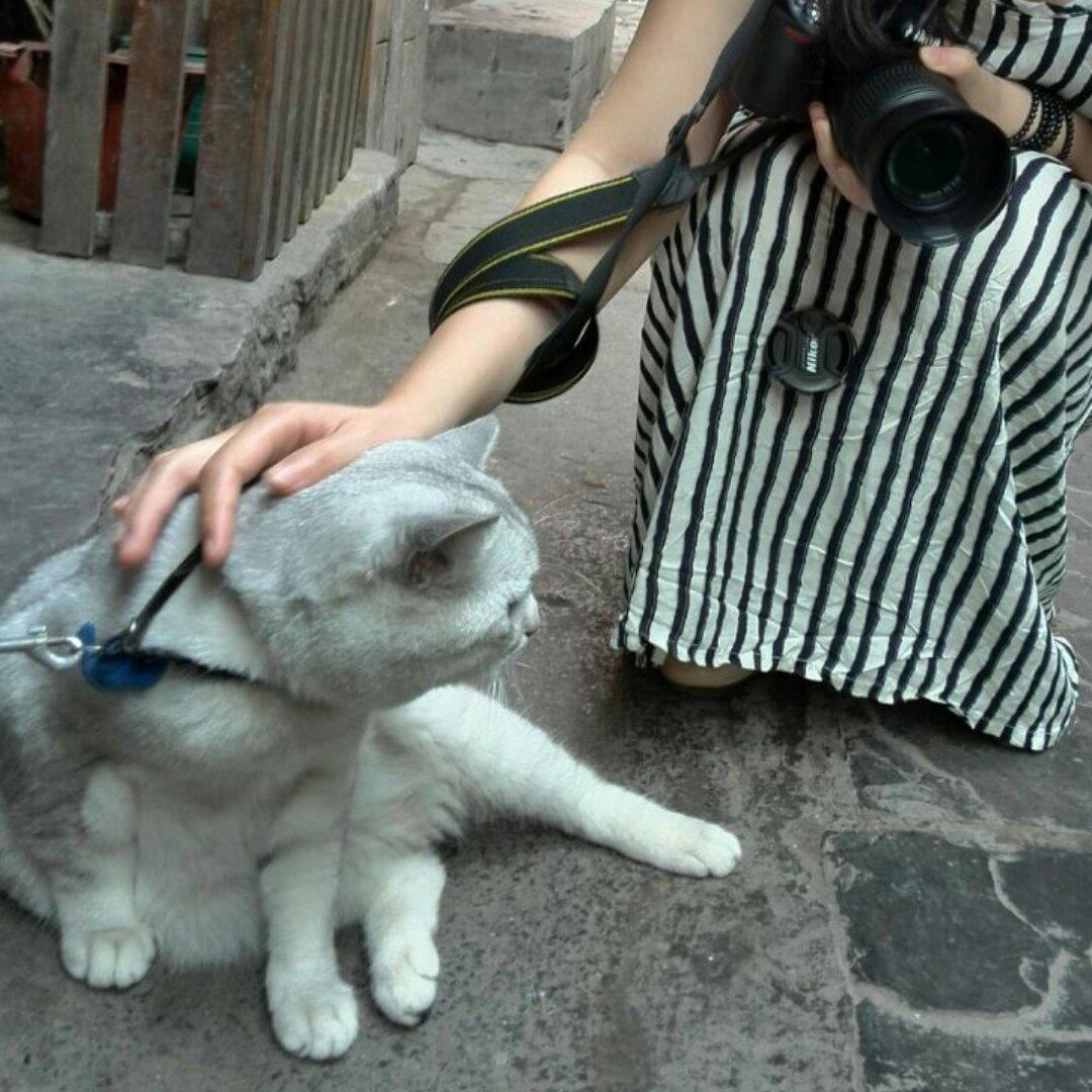 尹小猫