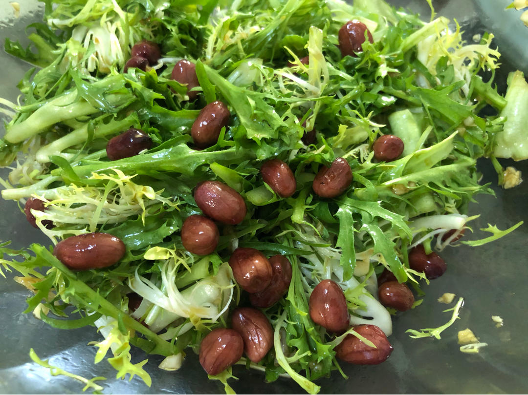 凉拌苦菊