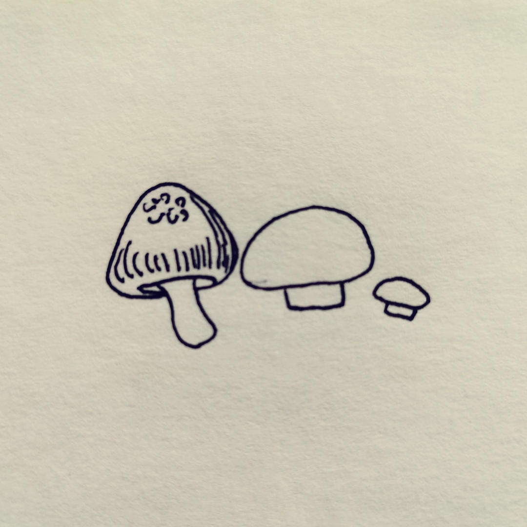大拇指安安