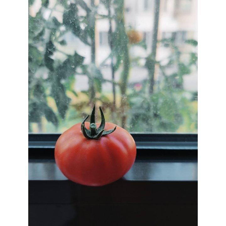 瓜果蔬菜养成记