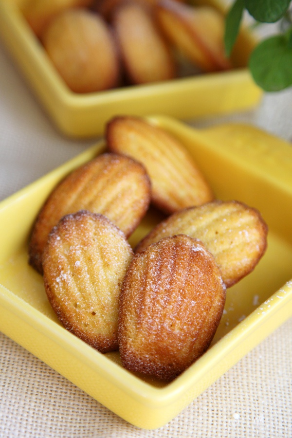 pan小月做的玛德琳蛋糕