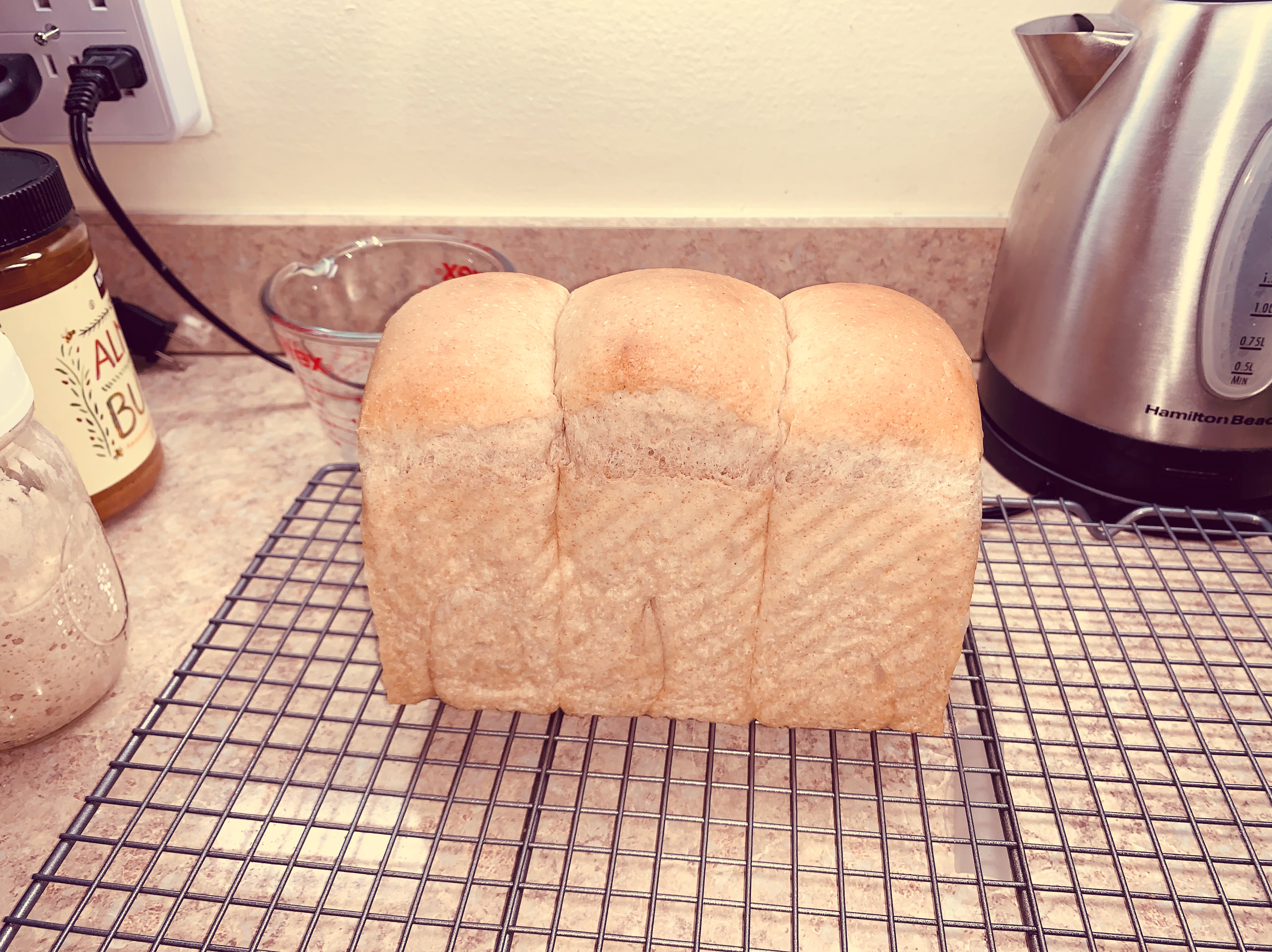 软到不行的天然酵母弃种全麦面包 sourdough discard whole wheat sandwich loaf的做法