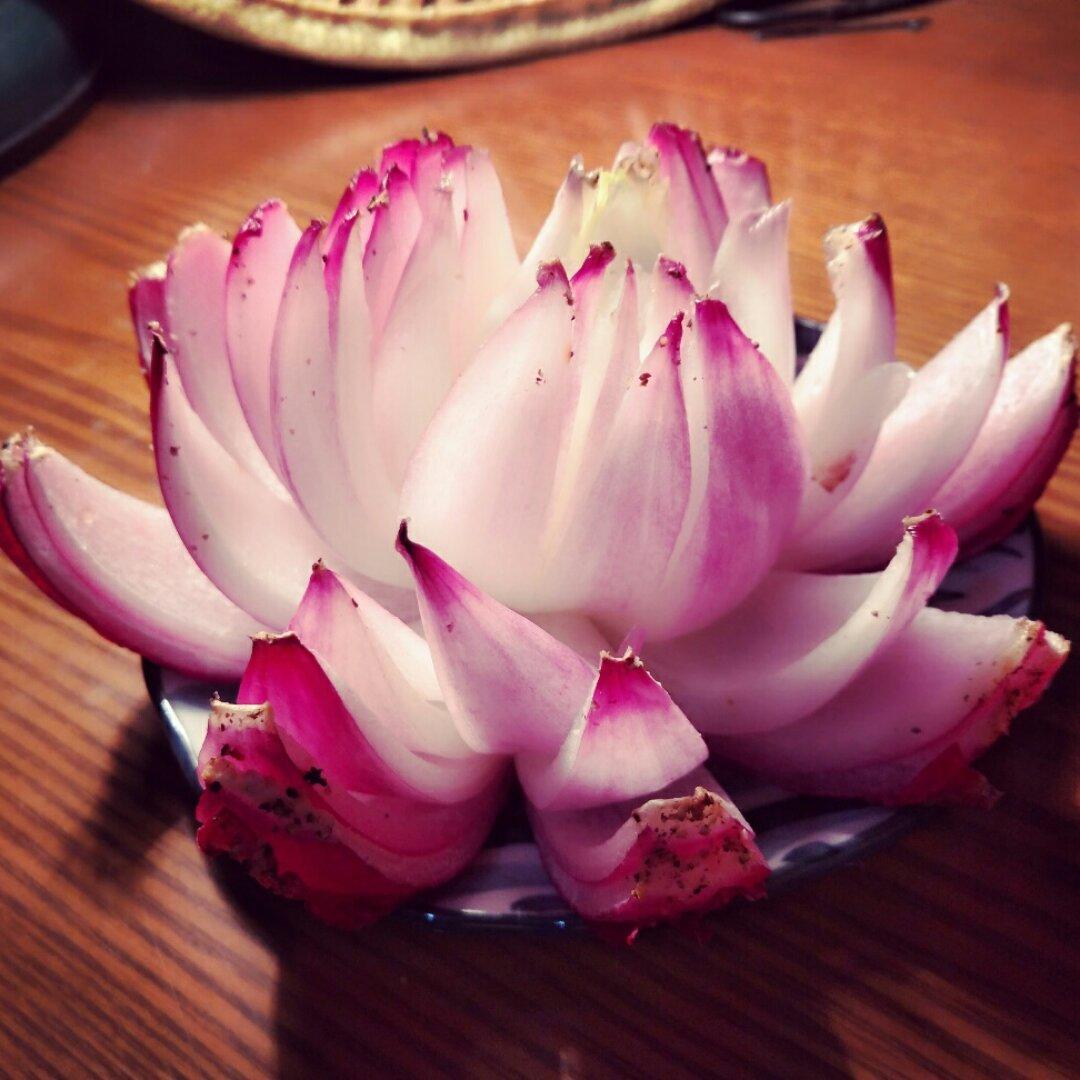 洋葱花