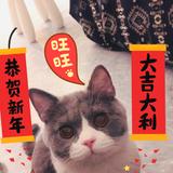 蛋卷er