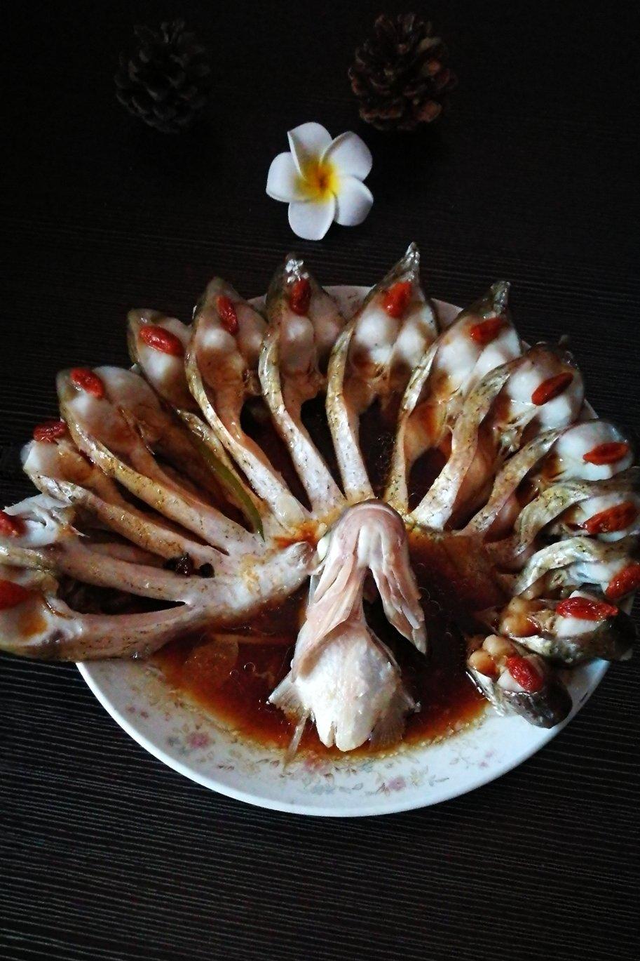 孔雀开屏鱼