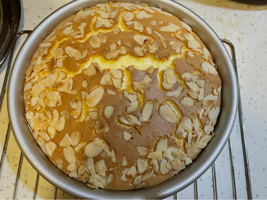 蛋糕店超🔥的金枕蛋糕｜口感绵密🍰松松软软