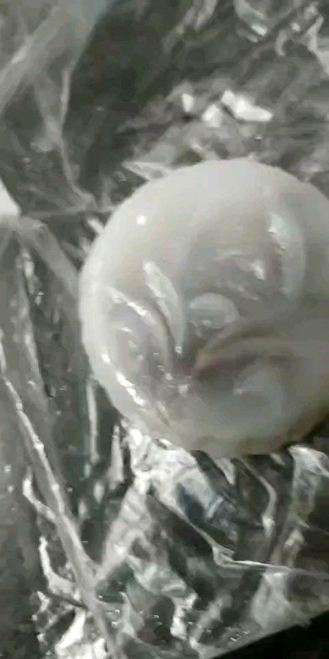 西米水晶糕