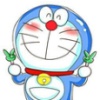 北城鱼。南城猫。