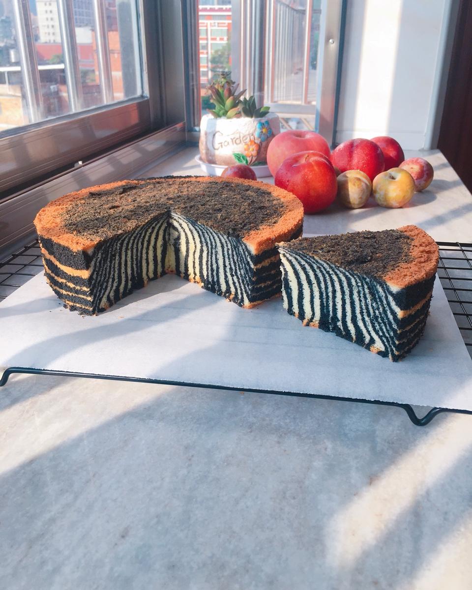 八寸戚风的成长记录