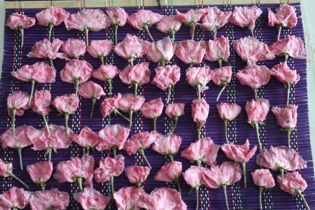 盐渍樱花