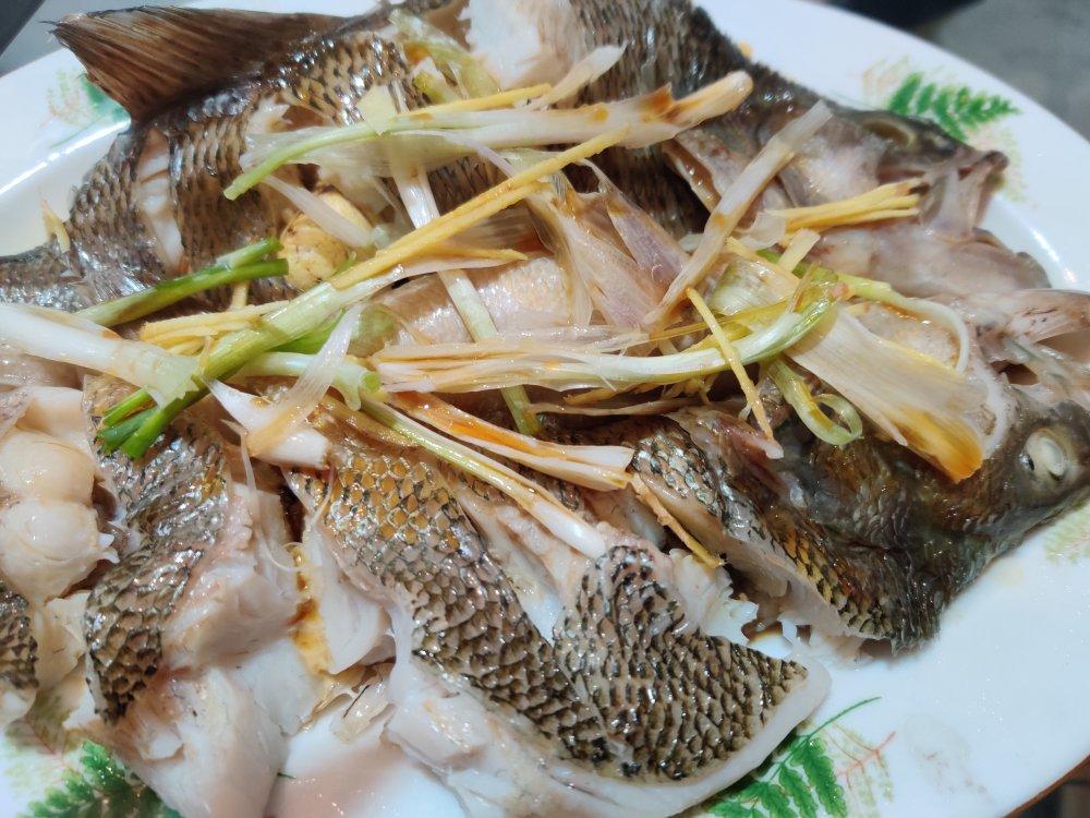 豉油清蒸鱼 清蒸鲈鱼
