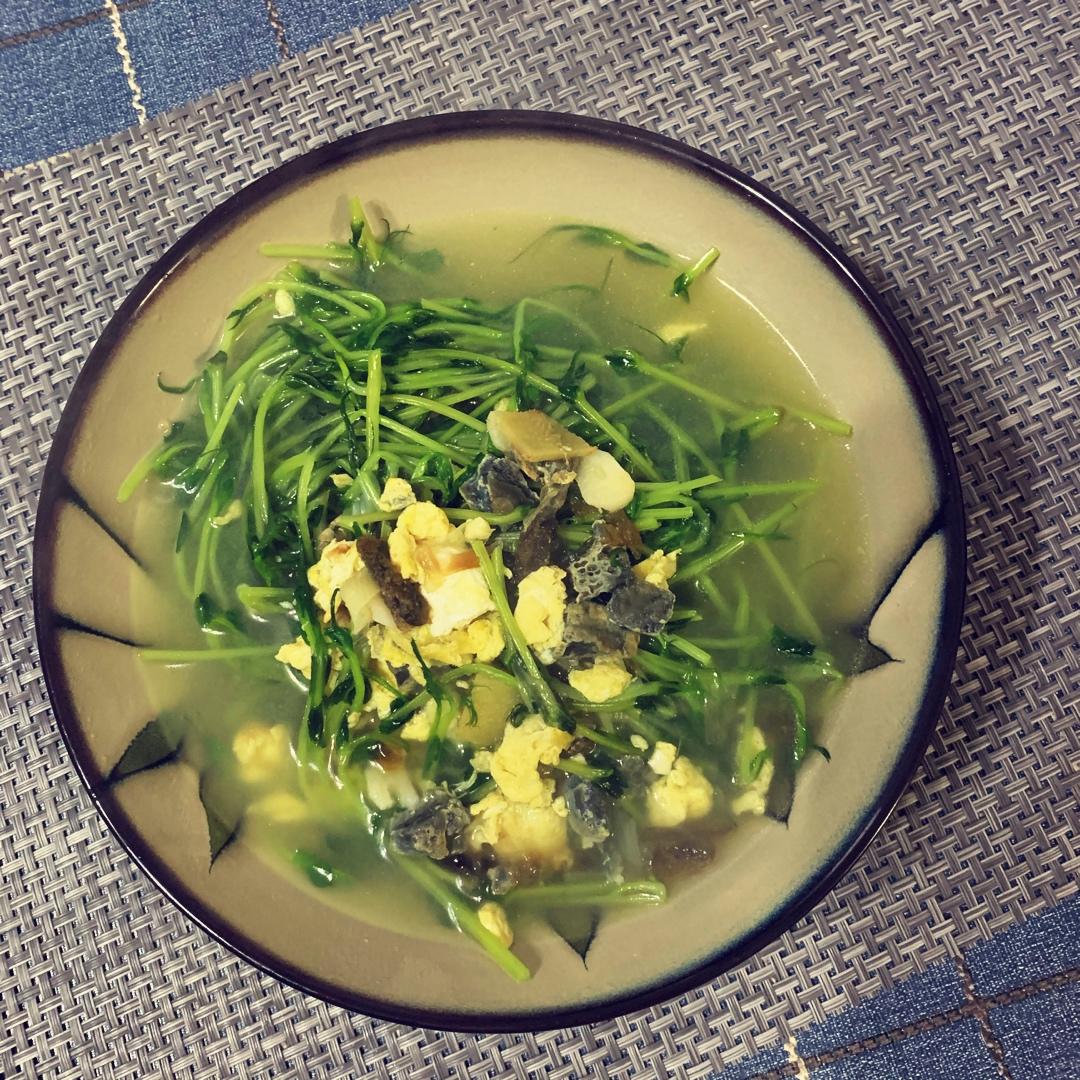 上汤豆苗