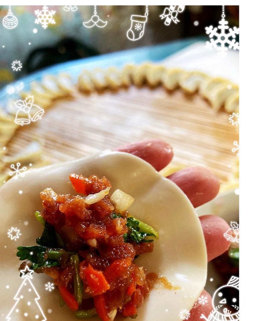 胡萝卜牛肉香菜饺子