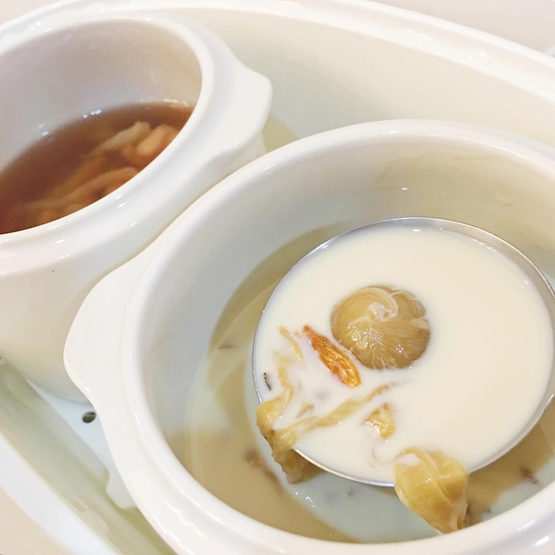 牛奶炖鱼胶／花胶