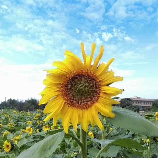 手机用户9955_j5kf