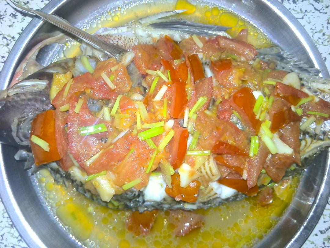 焖罗非鱼