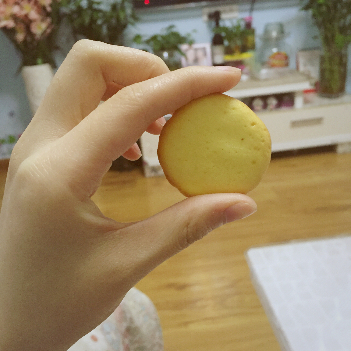 蛋黄小西饼（烤箱做饼干，简单又好吃）