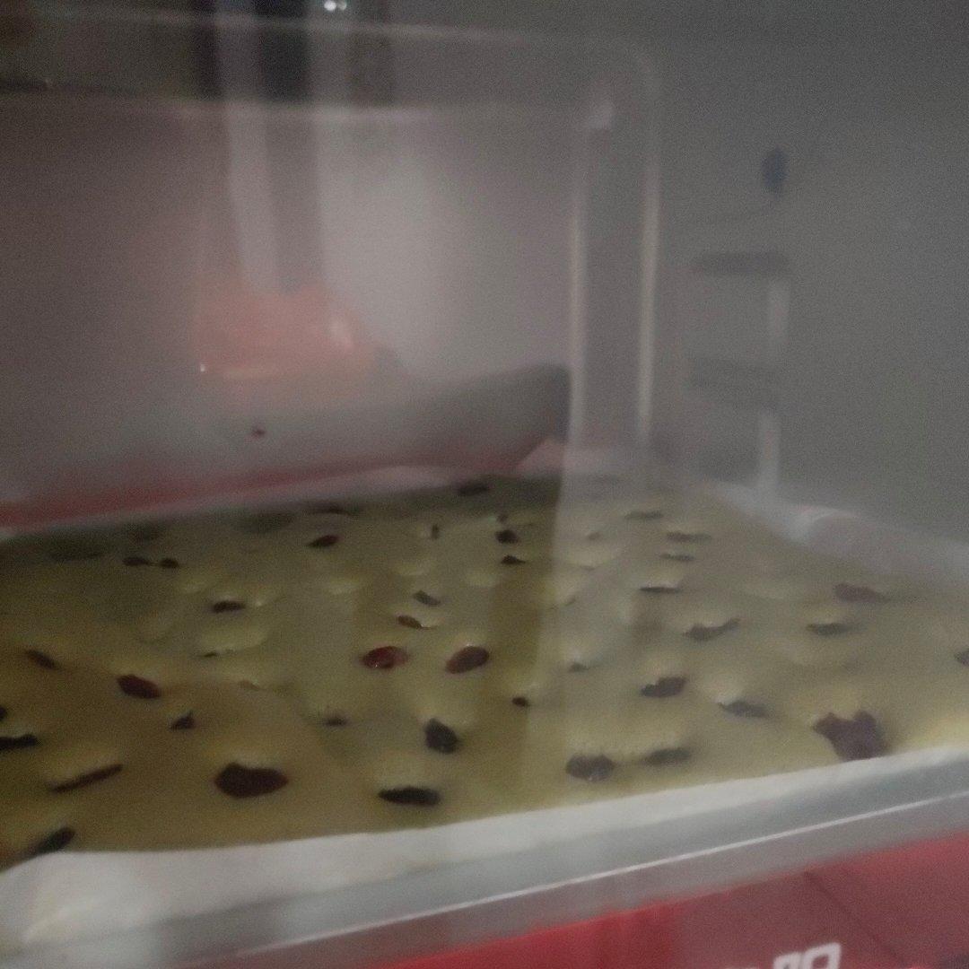 抹茶蔓越莓蛋糕卷