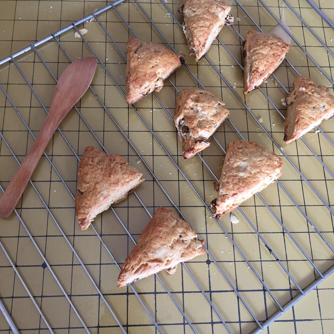 提子百利甜司康