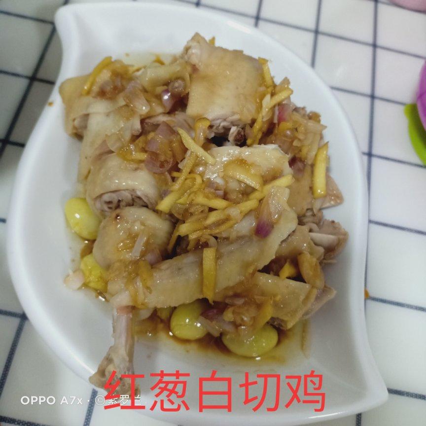 红葱头鸡