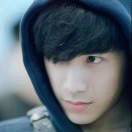 狮子头不是吃的那种