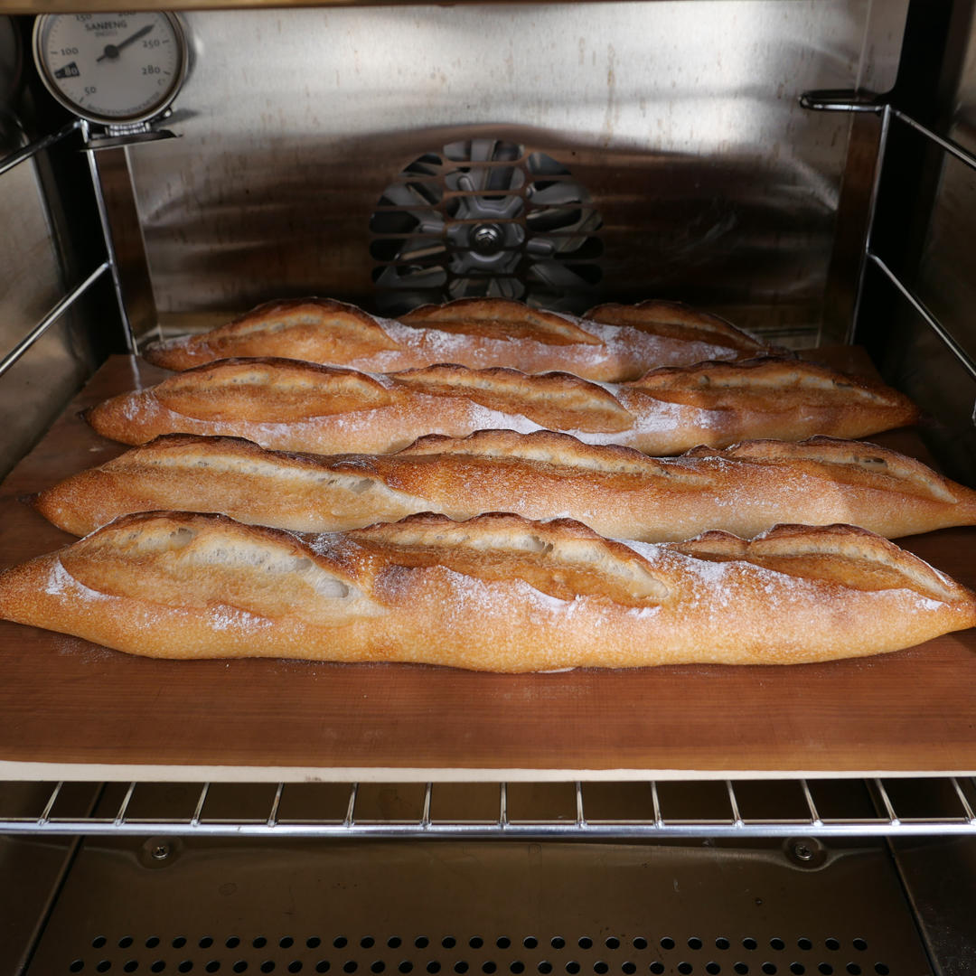 2025重新启航⛵️