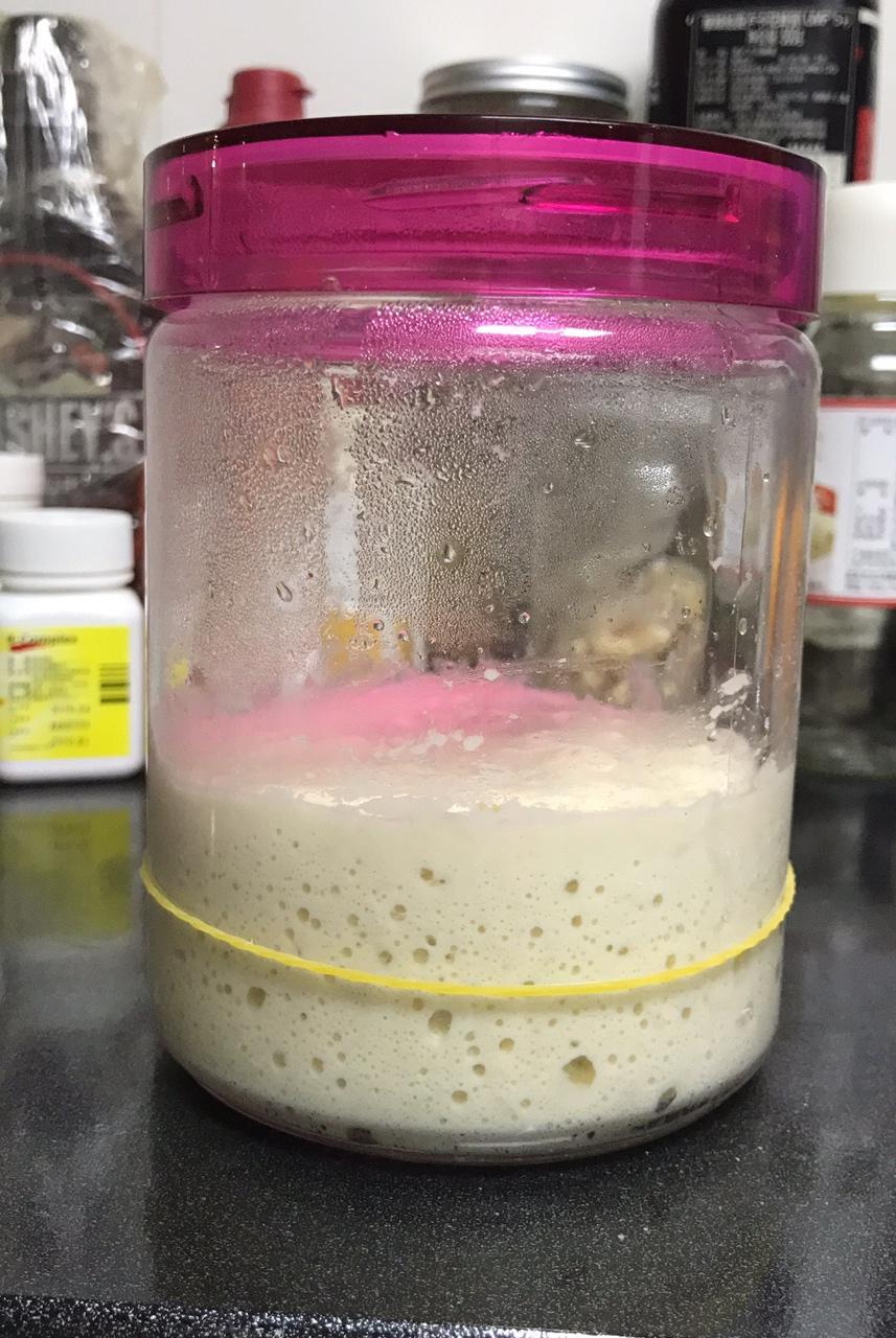 天然酵母宝宝养成记