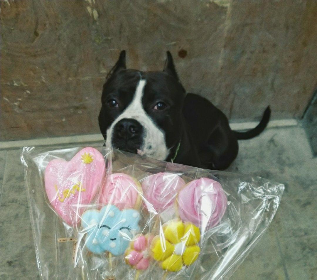 THCcupcake 作品合集