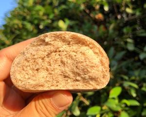 黑麦馒头 Rye Steamed Bun ·夏天乡野滋味（九）［素食］的做法 步骤8